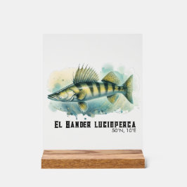 Watercolor Series: Zander/Walleye