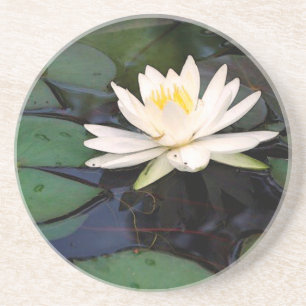 waterlily porta copos redonda do arenito