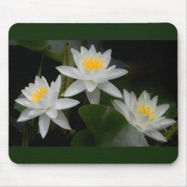 Waterlily Trio Mousepad