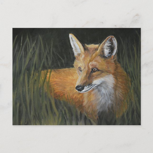 Wayward Red Fox Animal Art Cartão Postal (Frente)