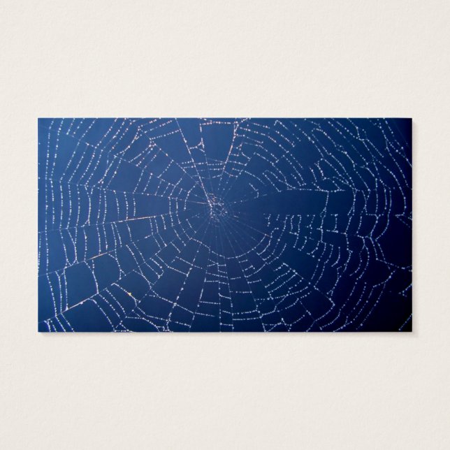 Web Spider (Verso)