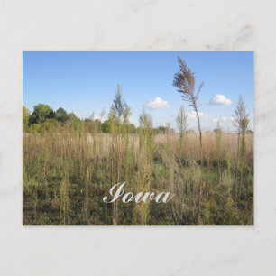 Weeds, Trees e Cartão Postal do Sky Iowa