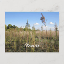 Weeds, Trees e Cartão Postal do Sky Iowa