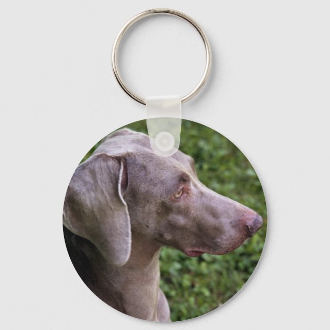 Weimaraner Chaveiro (Frente)