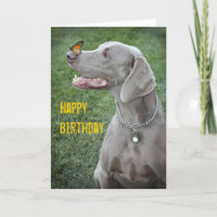 Weimaraner e Cartão Butterfly