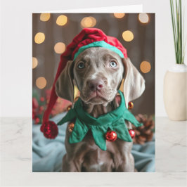Weimaraner Elf Puppy Cartão de Natal