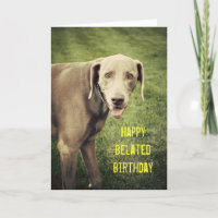 Weimaraner Engraçado Belo Cartão de Aniversário