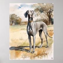 Weimaraner - Impressão de Arte Canina
