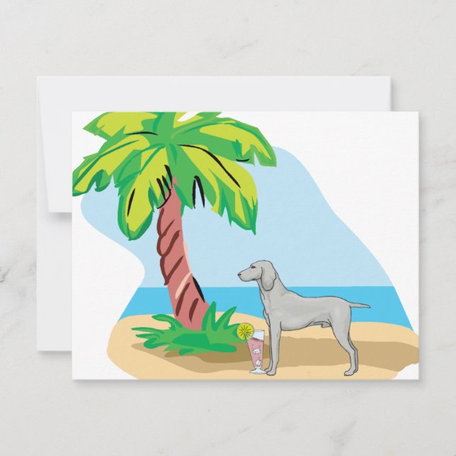 weimaraner tropical (Frente)