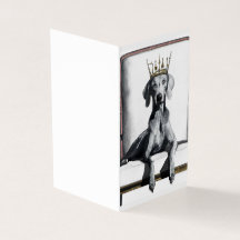 Weimaraner vestindo uma coroa sentada em uma cadei