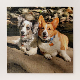 Welsh Corgis Quebra-cabeça