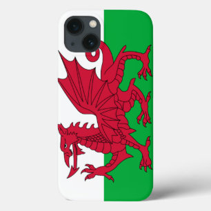 Welsh dragon flag