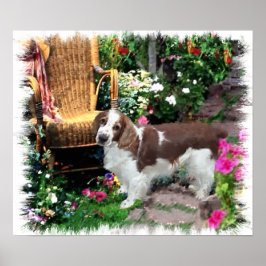 Welsh Springer Spaniel Art Impressão