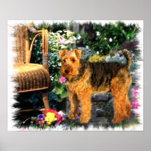 Welsh Terrier Art Impressão