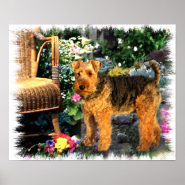 Welsh Terrier Art Impressão