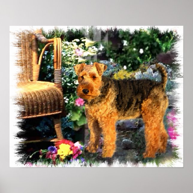 Welsh Terrier Art Impressão (Frente)
