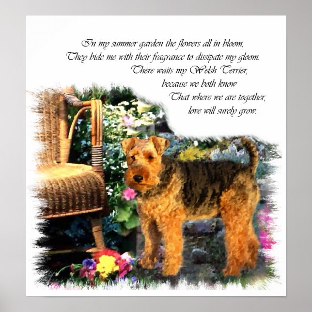 Welsh Terrier Art Impressão (Frente)