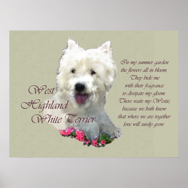 West Highland White Terrier Art Impressão (Frente)