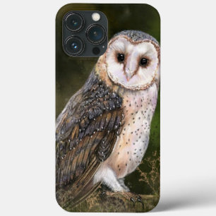 Western Barn Owl - Pintura 