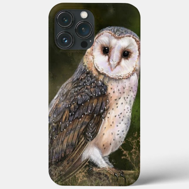 Western Barn Owl - Pintura  (Verso)