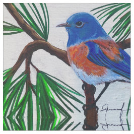 Western Bluebird no Tecido do pinho
