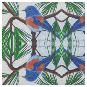 Western Bluebird no Tecido do pinho