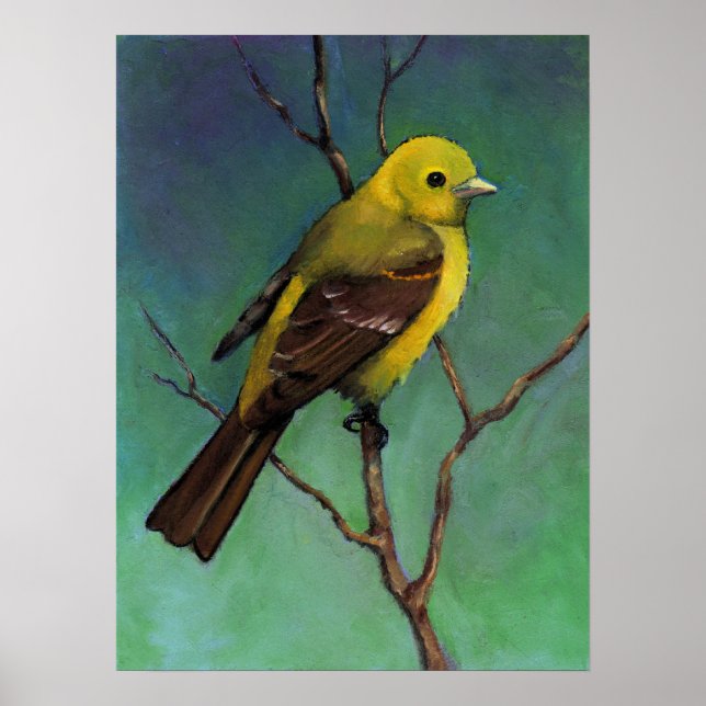 Western Tanager, Poster de Arte da Vida Selvagem (Frente)