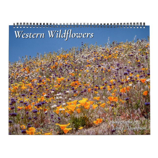 Western Wildflower, calendário 2023 (Capa)