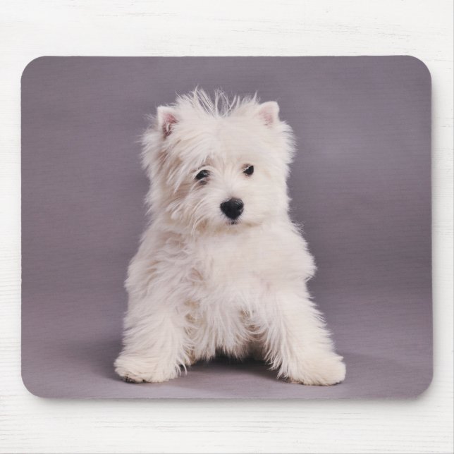 Westie mousepad (Frente)