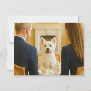 Westie tendo cartão postal de chá real