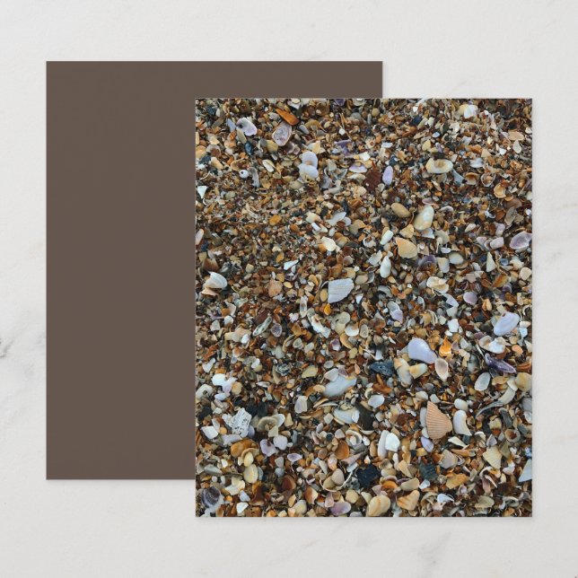 White Brown Coquina Sea Shell Beach ScrapbookPaper (Frente/Verso)