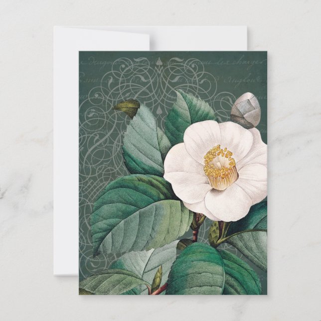 White Camellia Flat Greeting Card (Frente)