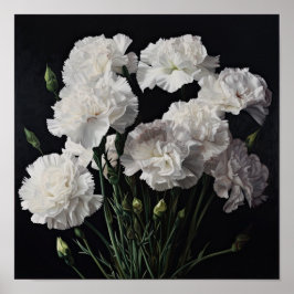 White Carnuns Flower Art Poster