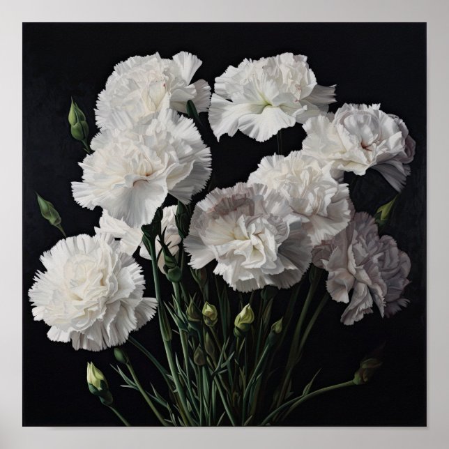White Carnuns Flower Art Poster (Frente)