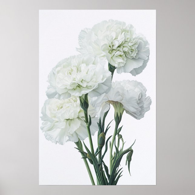 White Carnuns Flower Art Poster (Frente)