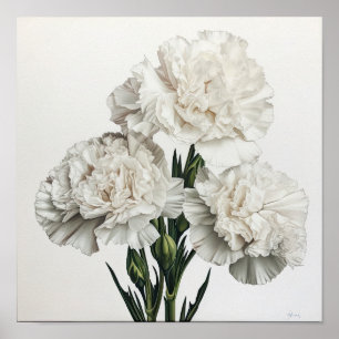 White Carnuns Flower Art Poster