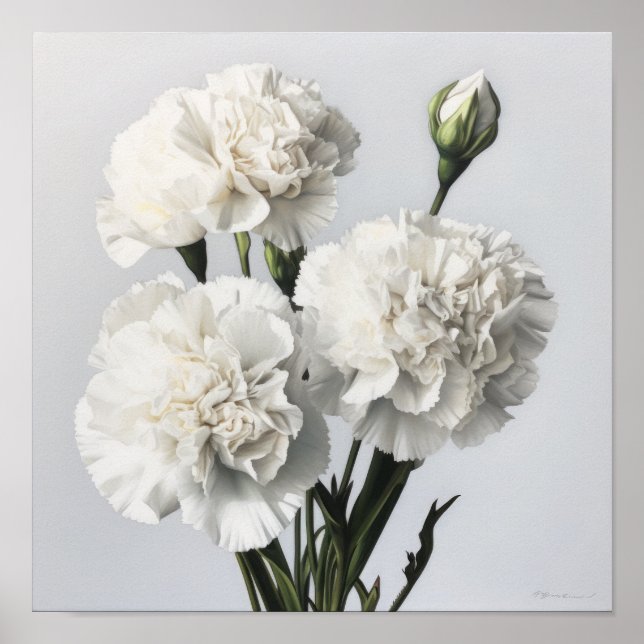 White Carnuns Flower Art Poster (Frente)