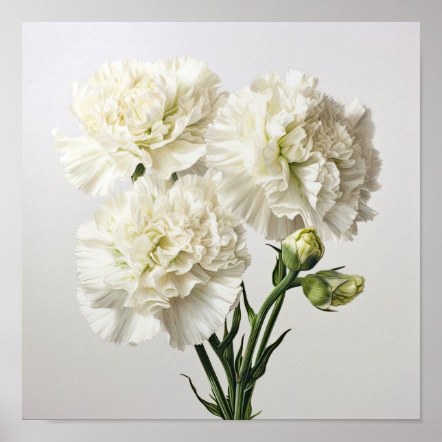White Carnuns Flower Art Poster (Frente)