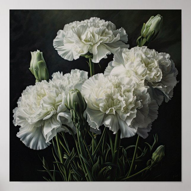 White Carnuns Flower Art Poster (Frente)