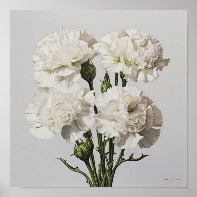 White Carnuns Flower Art Poster (Frente)