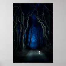 White Cat na Canopy Road na Night Poster Art Impre