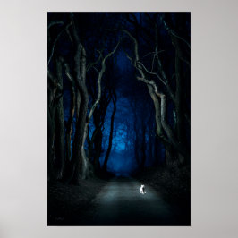 White Cat na Canopy Road na Night Poster Art Impre