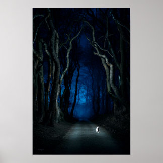 White Cat na Canopy Road na Night Poster Art Impre