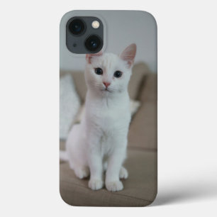 White cat Zazzle_Growshop.
