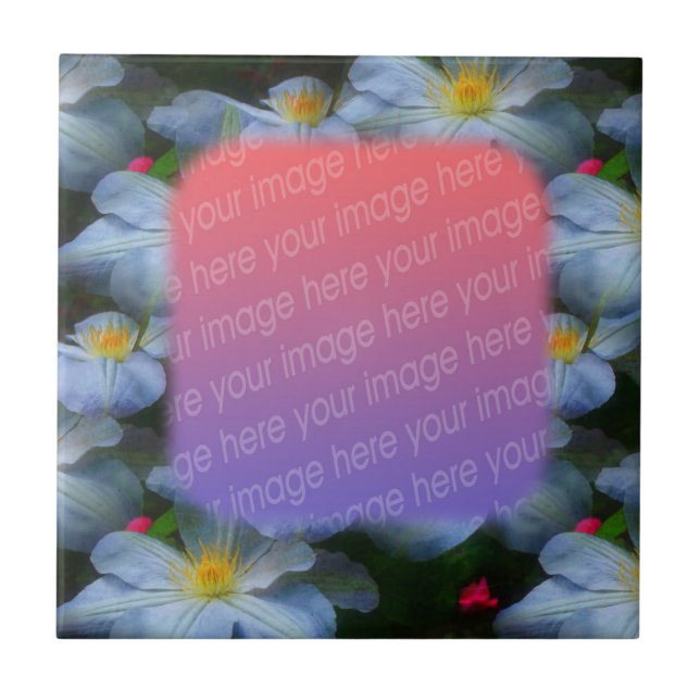 White Clematis floresce Seu Azulejo Fotográfico (Frente)