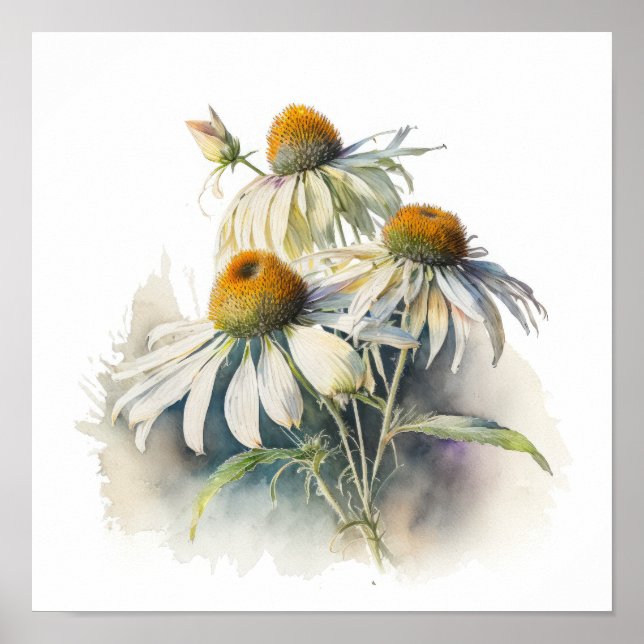 White Coneflowers Art Impressão Poster (Frente)