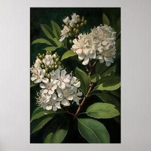 White Crepe Myrtle Flowers Art Impressão
