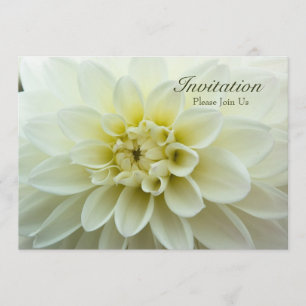 White Dahlia ・ Convite para Janto de ensaio
