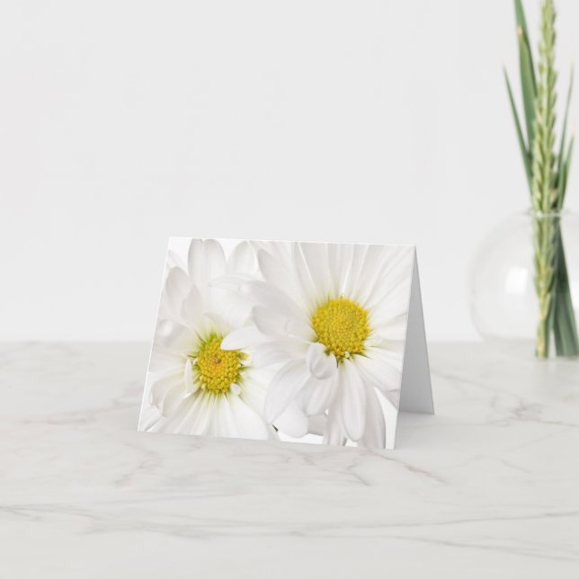 White Daisies - Modelo personalizada da margarida (Frente)
