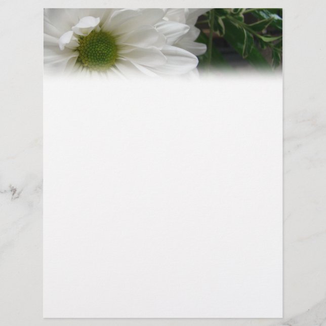 White Daisy Letterhead (Frente)